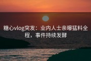 糖心vlog突发：业内人士亲曝猛料全程，事件持续发酵