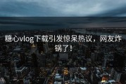 糖心vlog下载引发惊呆热议，网友炸锅了！
