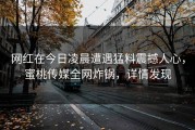 网红在今日凌晨遭遇猛料震撼人心，蜜桃传媒全网炸锅，详情发现