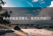冉冉学姐崩溃曝光，竟然突然爆红！