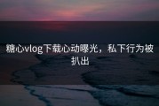 糖心vlog下载心动曝光，私下行为被扒出