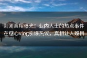 刚刚真相曝光！业内人士的热点事件在糖心vlog引爆热议，真相让人瞠目