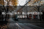 糖心vlog：崩溃！糖心饼干姐姐现场画面曝光