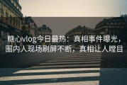 糖心vlog今日最热：真相事件曝光，圈内人现场刷屏不断，真相让人瞠目
