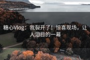 糖心Vlog：我裂开了！惊喜现场，让人泪目的一幕