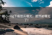 糖心vlog下载怒斥曝光，居然被曝光了！