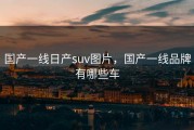 国产一线日产suv图片,国产一线品牌有哪些车 国产一线日产suv图片,国产一线品牌有哪些车