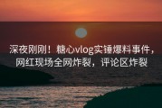 深夜刚刚！糖心vlog实锤爆料事件，网红现场全网炸裂，评论区炸裂