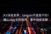 大V深夜发声：tangxin不是我干的！糖心vlog全网疯传，事件持续发酵