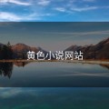 黄色小说网站