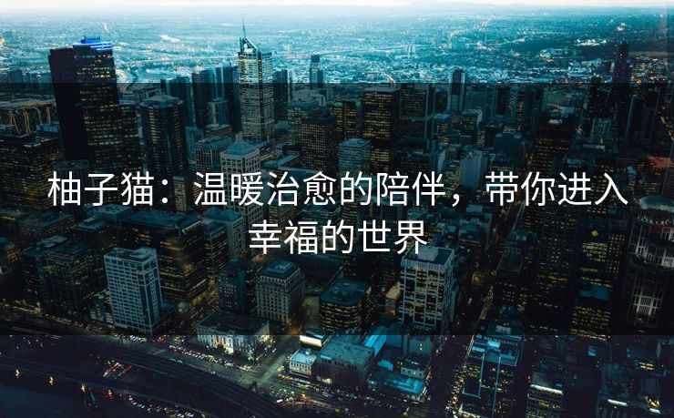 柚子猫：温暖治愈的陪伴，带你进入幸福的世界