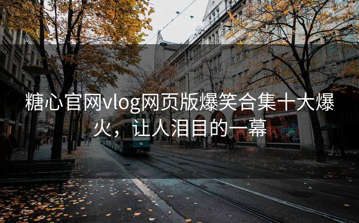 糖心官网vlog网页版爆笑合集十大爆火，让人泪目的一幕