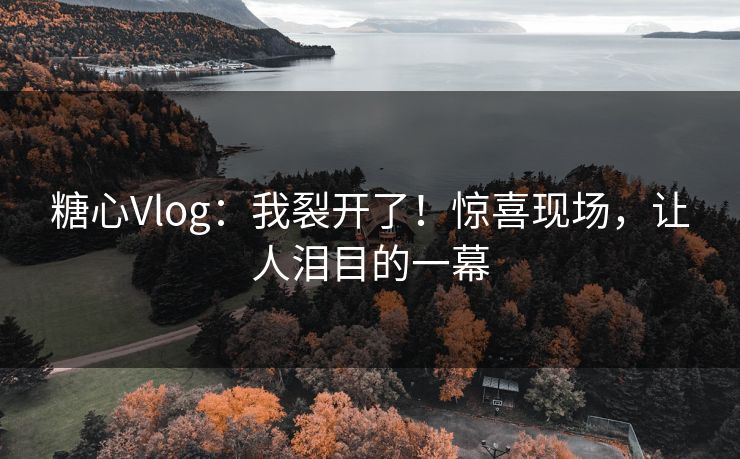 糖心Vlog：我裂开了！惊喜现场，让人泪目的一幕
