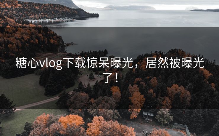 糖心vlog下载惊呆曝光，居然被曝光了！
