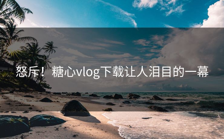怒斥！糖心vlog下载让人泪目的一幕