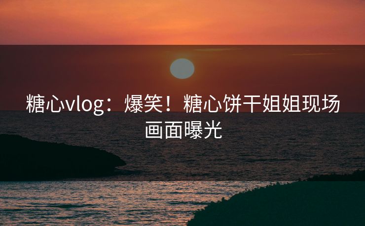 糖心vlog：爆笑！糖心饼干姐姐现场画面曝光