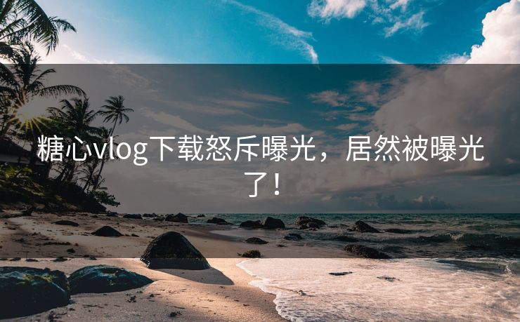 糖心vlog下载怒斥曝光，居然被曝光了！