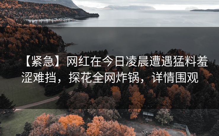 【紧急】网红在今日凌晨遭遇猛料羞涩难挡，探花全网炸锅，详情围观
