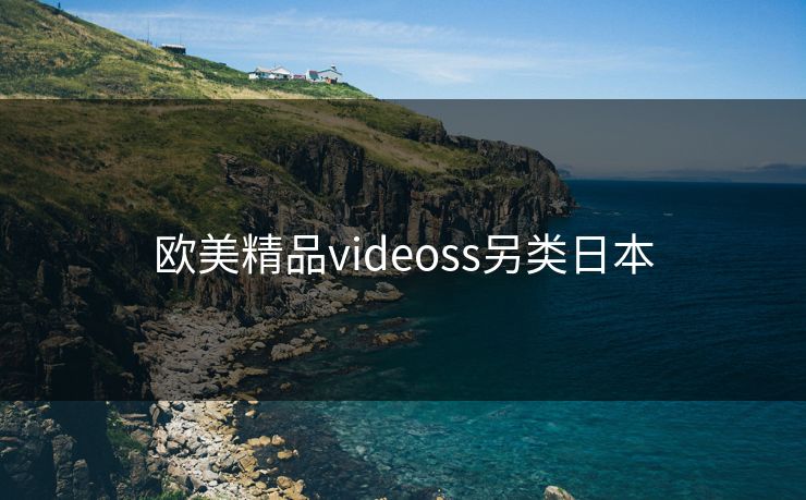 欧美精品videoss另类日本